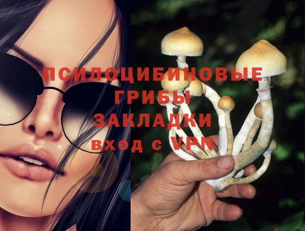 стафф Абаза