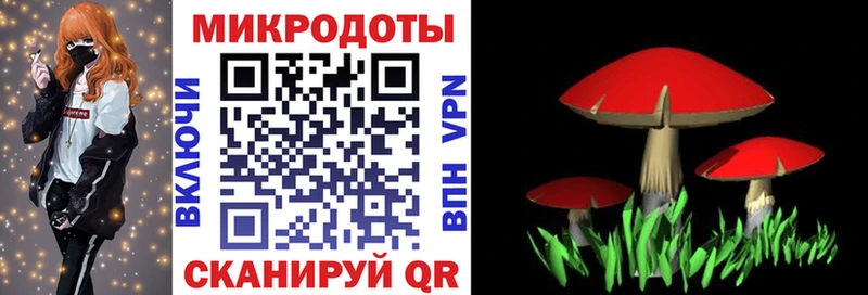 мега как войти  даркнет официальный сайт  Кулебаки  Галлюциногенные грибы прущие грибы  где можно купить наркотик 